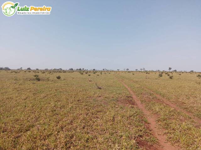 Fazenda para Venda em Campo Grande - 4