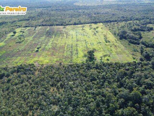 #2766 - Fazenda para Venda em Carolina - MA - 2