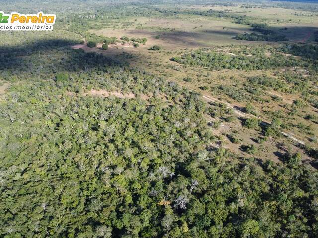 #2766 - Fazenda para Venda em Carolina - MA - 3