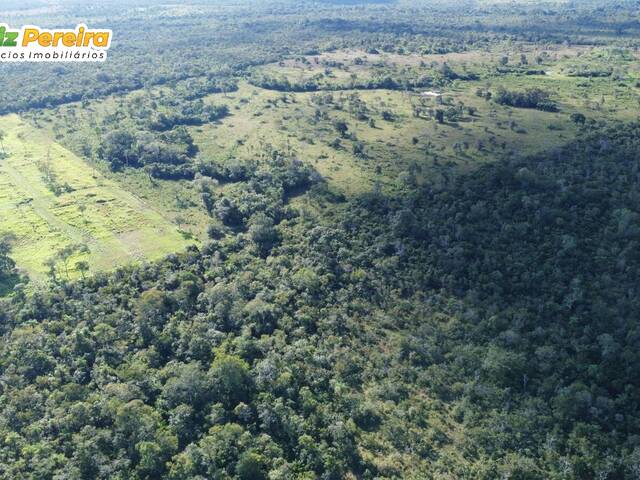 Fazenda para Venda em Carolina - 4