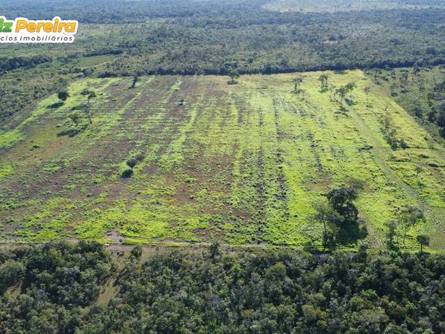 #2766 - Fazenda para Venda em Carolina - MA - 1