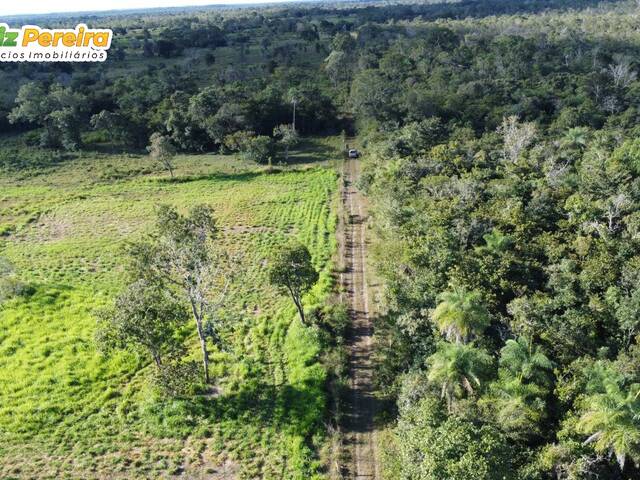 Fazenda para Venda em Carolina - 5