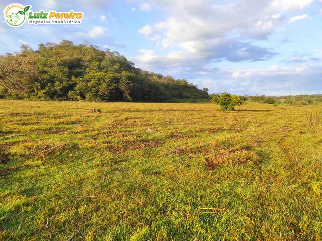 #2767 - Fazenda para Venda em Bonito - MS - 1