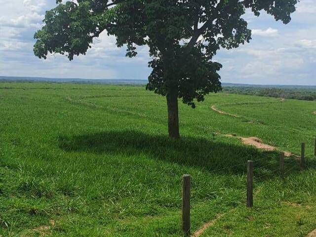 #2768 - Fazenda para Venda em Alcinópolis - MS - 2