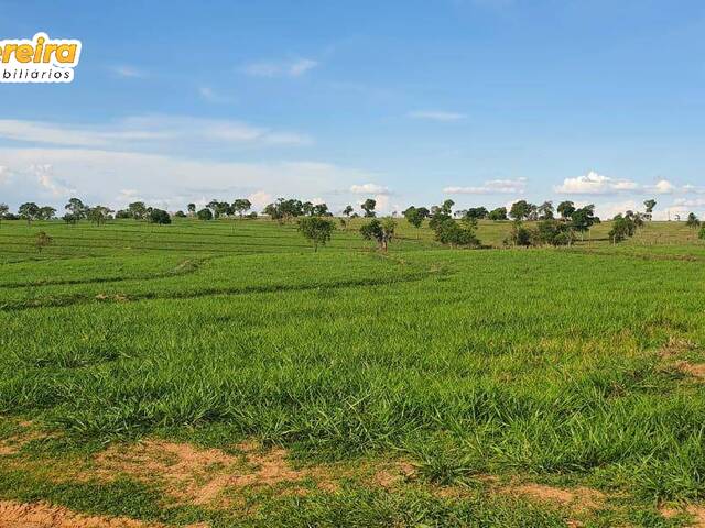 #2768 - Fazenda para Venda em Alcinópolis - MS - 3