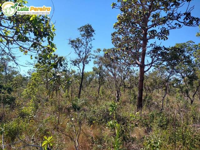 #2448 - Fazenda para Venda em Alto Parnaíba - MA - 2