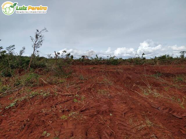 #2448 - Fazenda para Venda em Alto Parnaíba - MA - 3