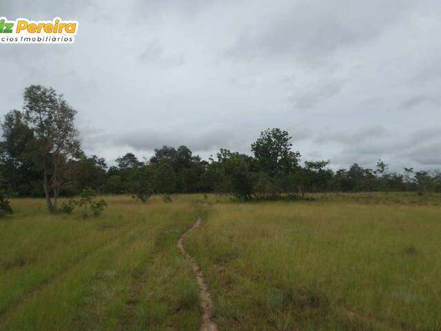 #2770 - Fazenda para Venda em Caxias - MA