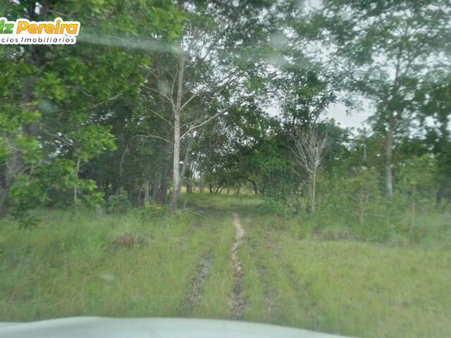 #2770 - Fazenda para Venda em Caxias - MA - 3