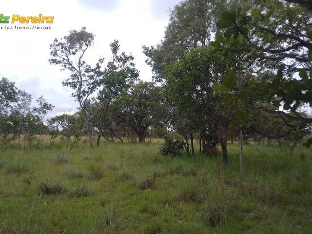 Fazenda para Venda em Caxias - 4
