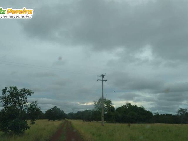 Fazenda para Venda em Caxias - 5