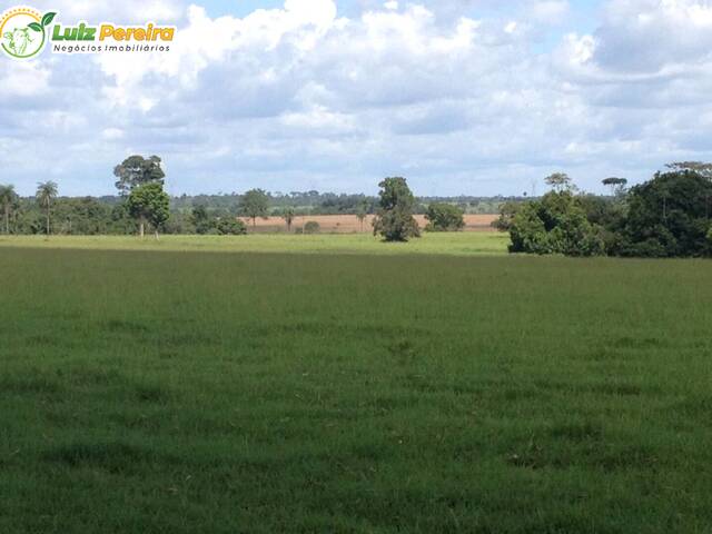 #2771 - Fazenda para Venda em Ribamar Fiquene - MA