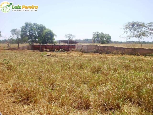Fazenda para Venda em Ribamar Fiquene - 4