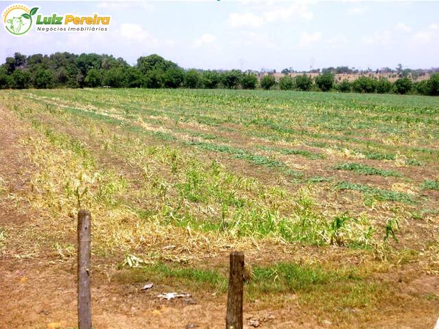 Fazenda para Venda em Ribamar Fiquene - 5