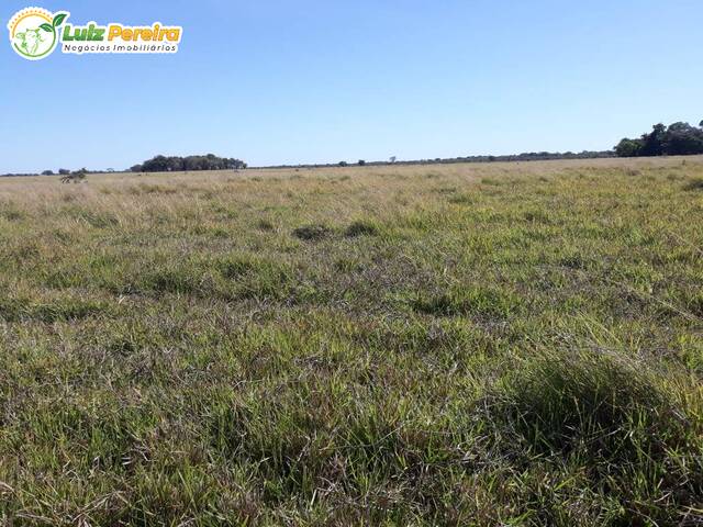 Fazenda para Venda em Sandolândia - 5