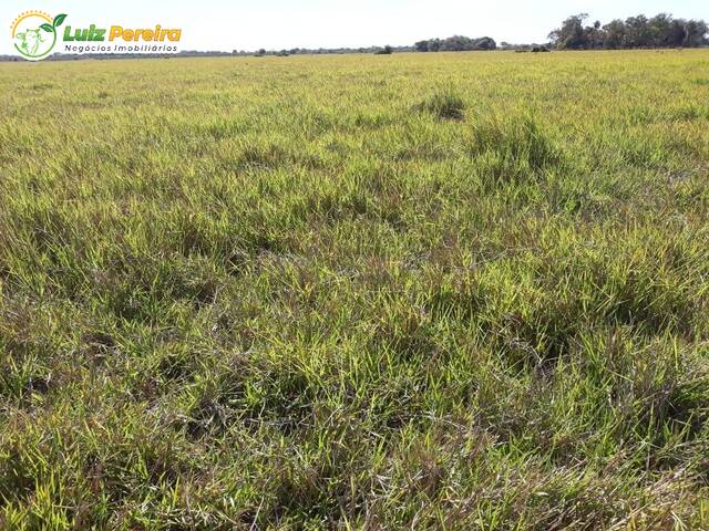 #2772 - Fazenda para Venda em Sandolândia - TO - 3