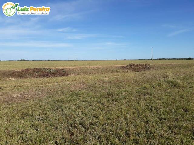 Fazenda para Venda em Sandolândia - 4