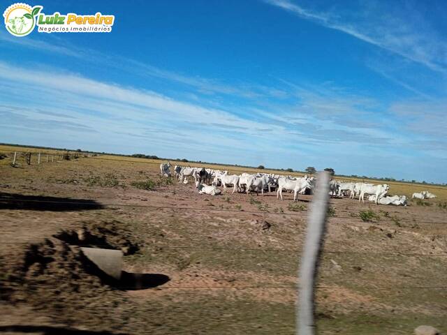 #2772 - Fazenda para Venda em Sandolândia - TO - 1