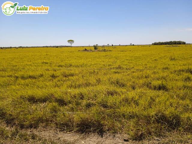 #2772 - Fazenda para Venda em Sandolândia - TO - 2