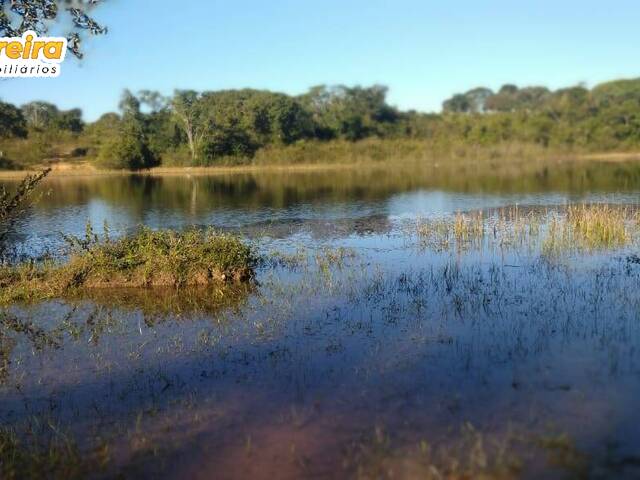 #2773 - Fazenda para Venda em Poconé - MT