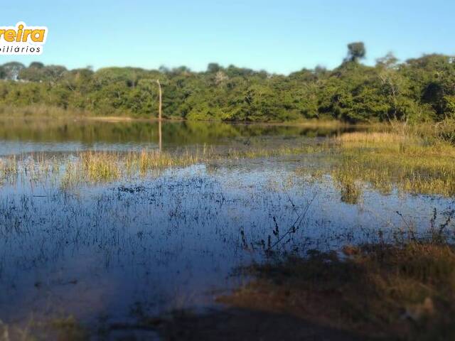 Fazenda para Venda em Poconé - 4