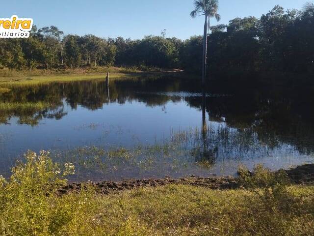 Fazenda para Venda em Poconé - 5