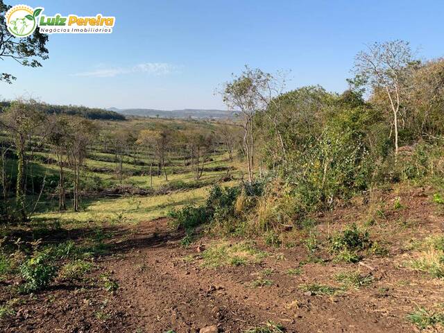 #2774 - Fazenda para Venda em Anastácio - MS - 3