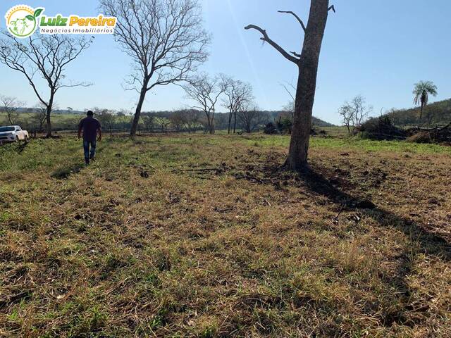 Fazenda para Venda em Anastácio - 5