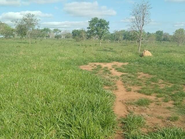 #2775 - Fazenda para Venda em Corguinho - MS - 3