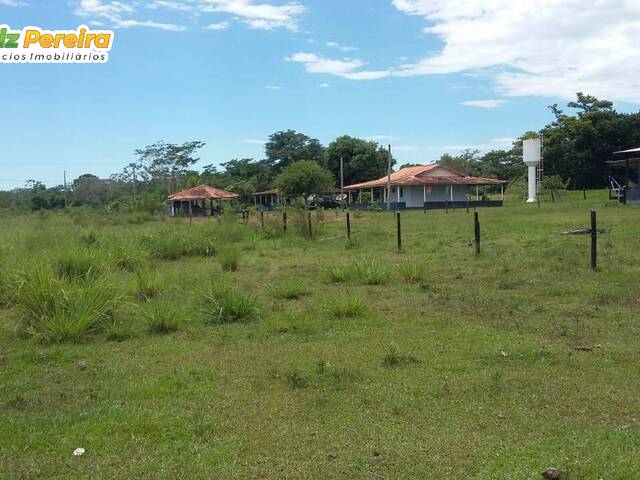 Fazenda para Venda em Bataiporã - 5