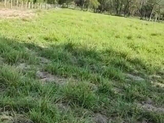 #2340 - Fazenda para Venda em Rondonópolis - MT - 2