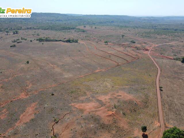 Fazenda para Venda em Darcinópolis - 4