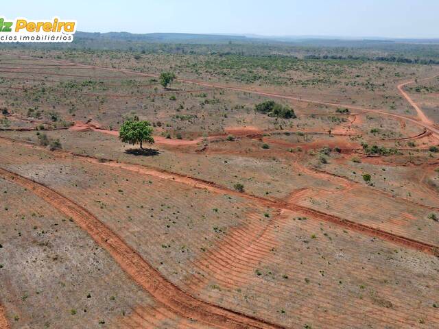 Fazenda para Venda em Darcinópolis - 5