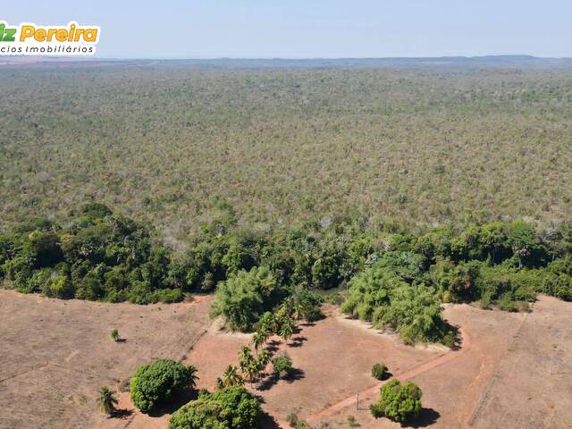 #2777 - Fazenda para Venda em Darcinópolis - TO - 1