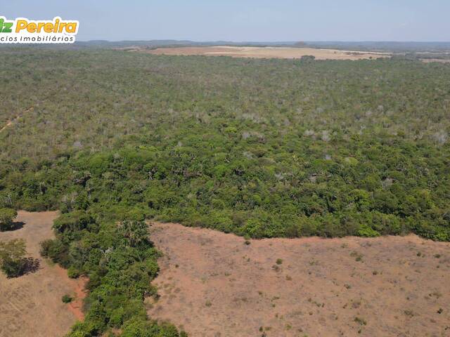 #2777 - Fazenda para Venda em Darcinópolis - TO - 2