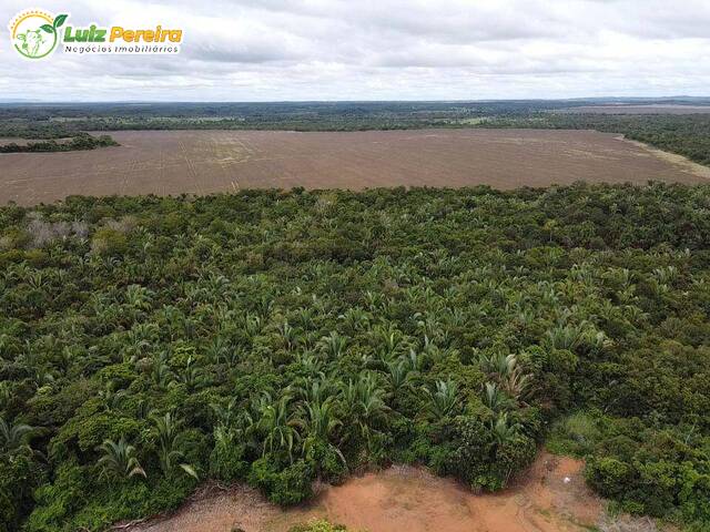 Fazenda para Venda em Miranorte - 5
