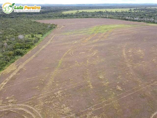 #2759 - Fazenda para Venda em Miranorte - TO - 2