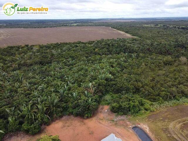 #2759 - Fazenda para Venda em Miranorte - TO - 3