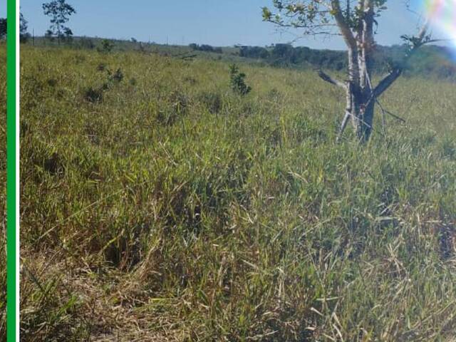Fazenda para Venda em Camapuã - 5