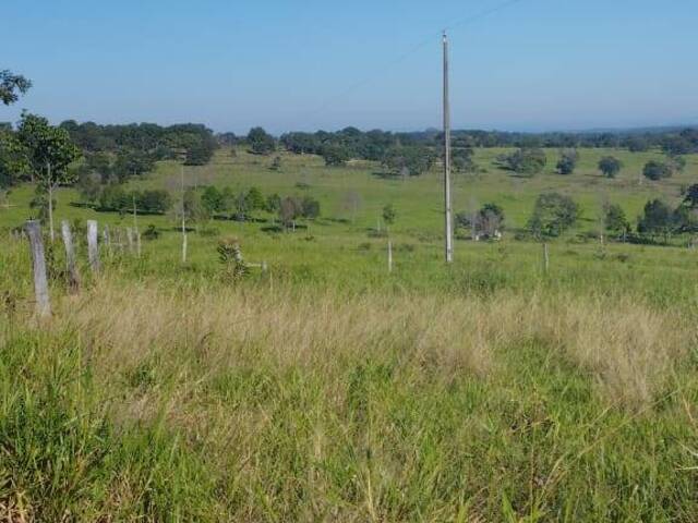 Fazenda para Venda em Camapuã - 4