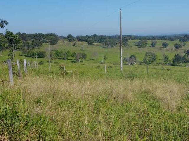 #2779 - Fazenda para Venda em Camapuã - MS - 3