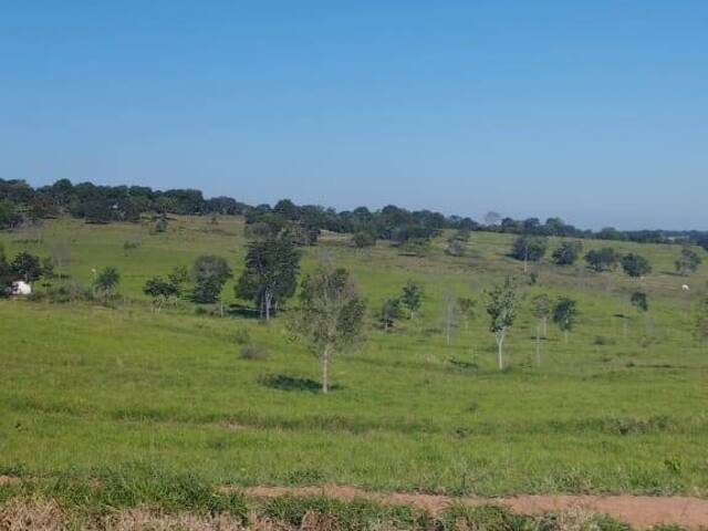 Venda em Vl São Bento - Camapuã