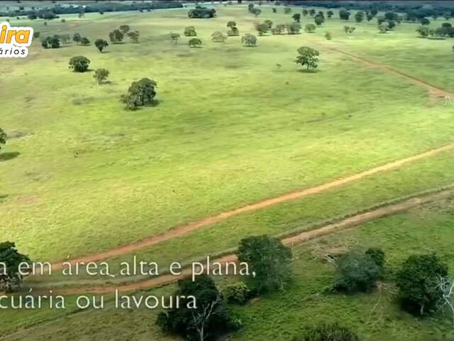 Fazenda para Venda em Cocalinho - 4