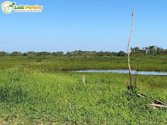 #2780 - Fazenda para Venda em Poconé - MT - 3