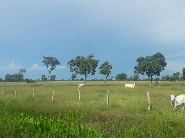 #2780 - Fazenda para Venda em Poconé - MT