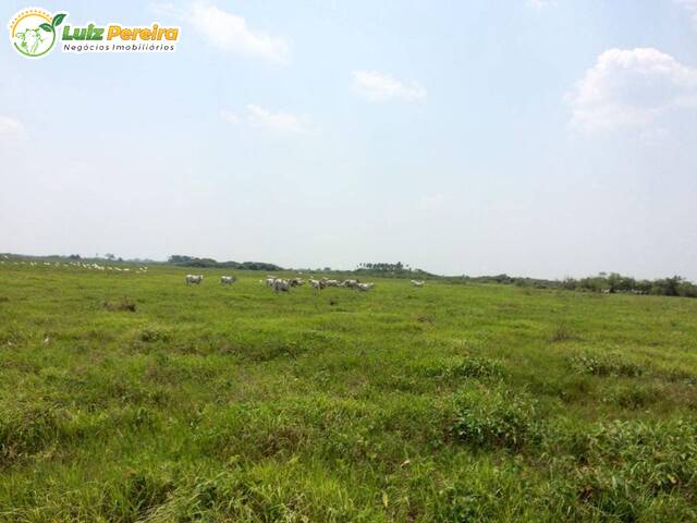 Fazenda para Venda em Poconé - 4