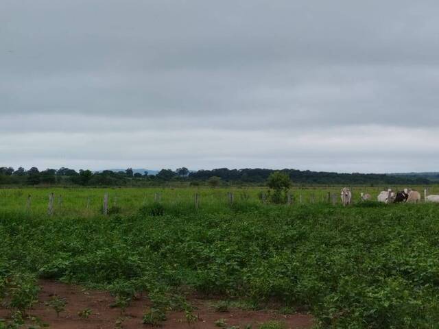 #2783 - Fazenda para Venda em Guia Lopes da Laguna - MS - 1