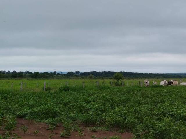 #2783 - Fazenda para Venda em Guia Lopes da Laguna - MS