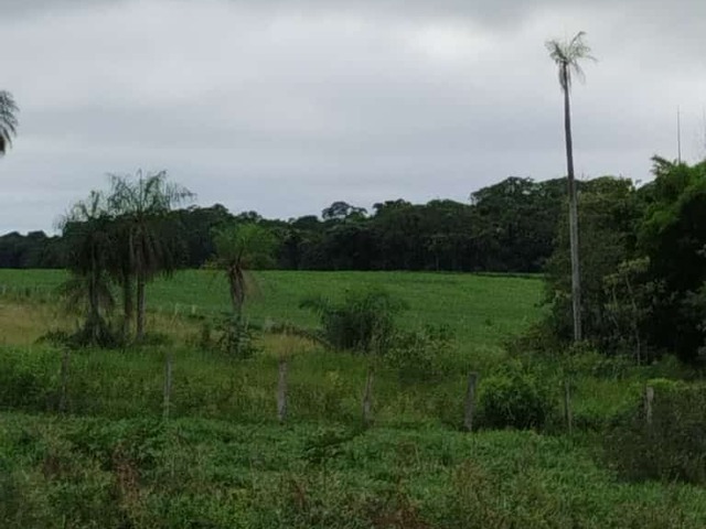 #2783 - Fazenda para Venda em Guia Lopes da Laguna - MS - 2