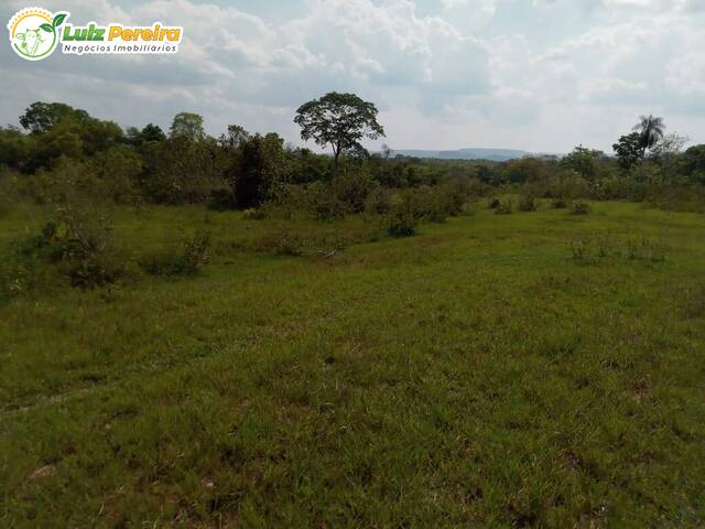 Fazenda para Venda em Terenos - 5